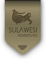 Sulawesi Adventures, Travel Services Around Indonesia